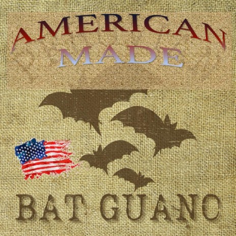 America Signing Off cover art