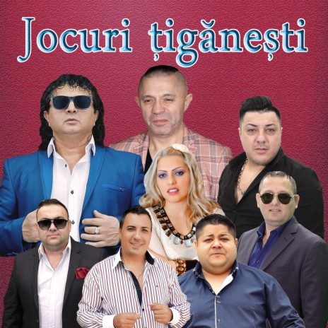 Tiganii Povestesc cover art