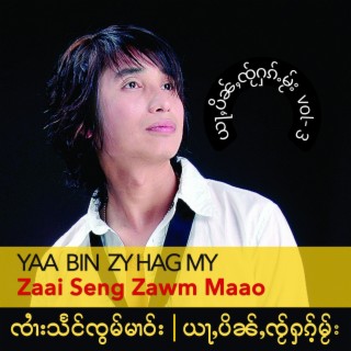 Yaa Bin Zy Hag My