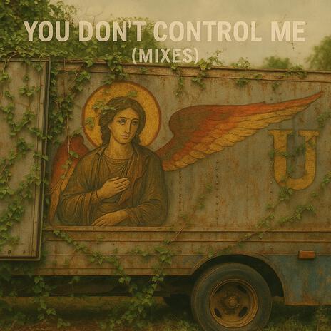 You Don't Control Me (Cooler 2) cover art