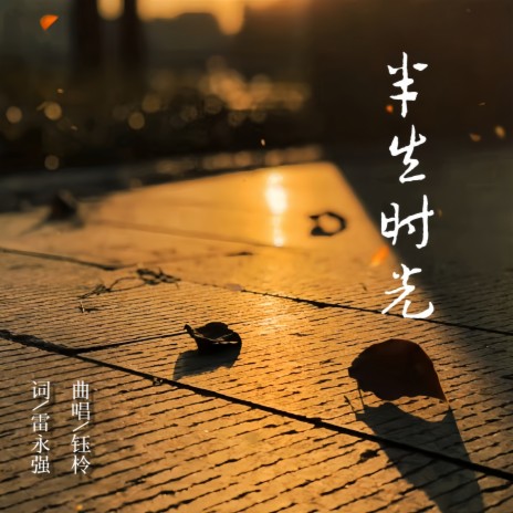 半生时光 cover art