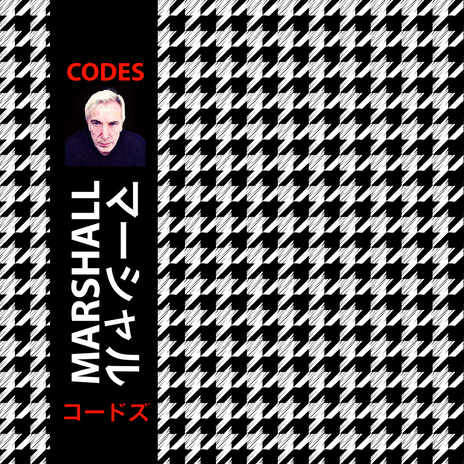 C-20 cover art