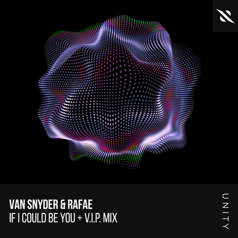 If I Could Be You (Van Snyder V.I.P. Mix) ft. Rafae cover art
