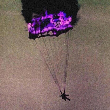 Cicada cover art