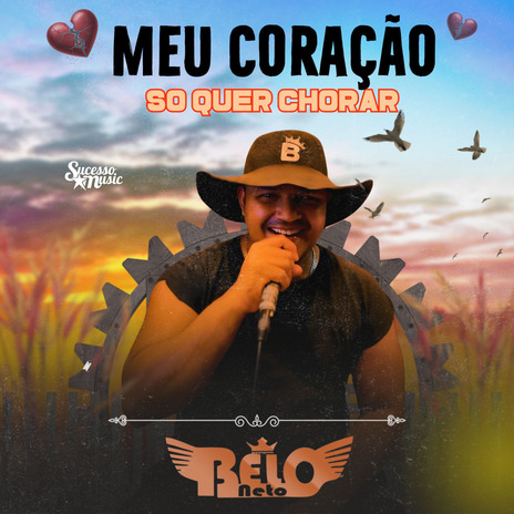 Meu Coração Só Quer Chorar cover art