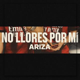 NO LLORES POR MÍ cover art
