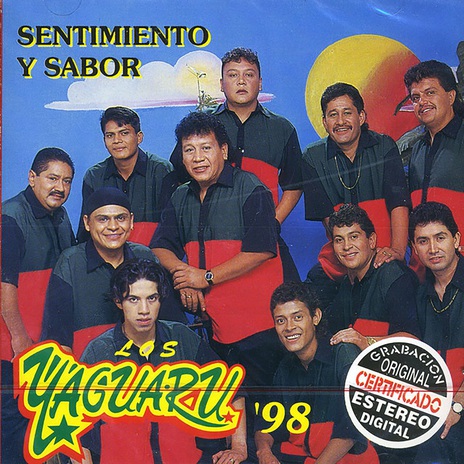 Vidita Ven cover art
