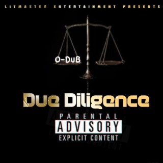 Due Diligence