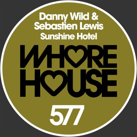 Sunshine Hotel (Radio Mix) ft. Sebastien Lewis cover art