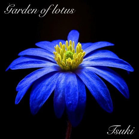 Garden of lotus cover art