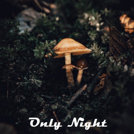 Holy Grail cover art
