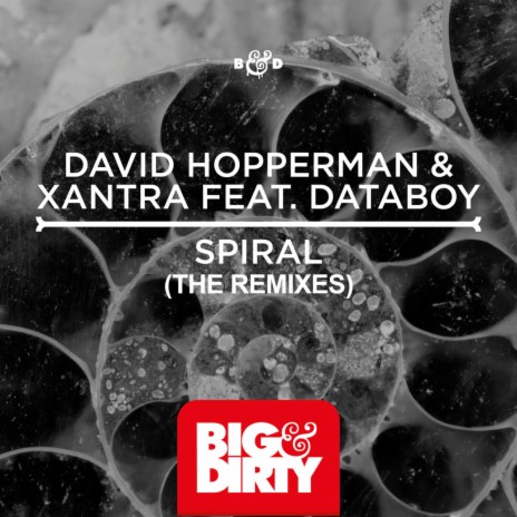 Spiral (Dabox & Raul Mendes Remix) ft. Xantra & DATABOY cover art