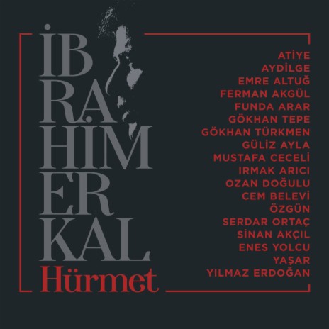 Usta (Şiir) (İbrahim Erkal Hürmet) cover art
