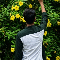 author avatar