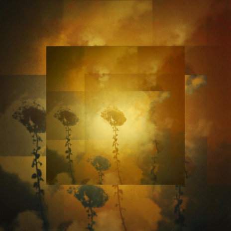 New Ocean cover art