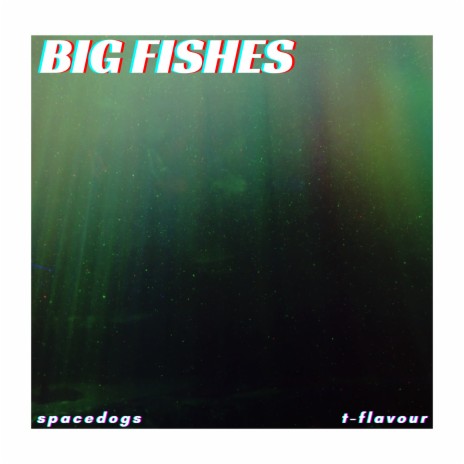 Big Fishes ft. T-Flavour cover art
