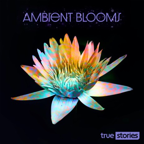 A Morning in Spring cover art