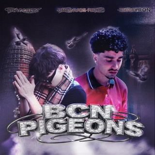 BCN PIGEONS
