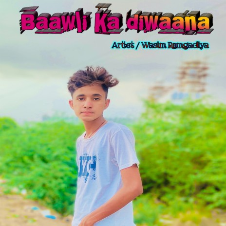 Baawli Ka Diwaana (Mewati song) cover art