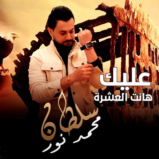 سلطان محمد نور
