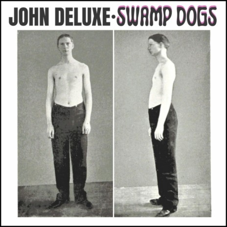 Swamp Dogs cover art