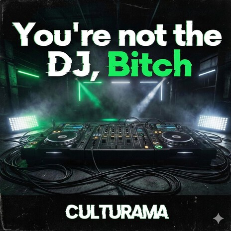 You're not the DJ, Bitch cover art
