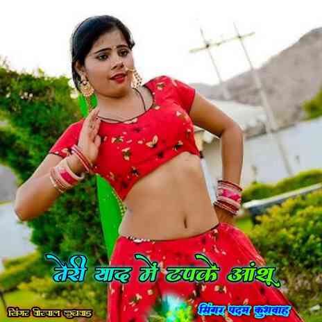 Teri Yad Me Tapke Aanshu ft. Padam Kushwah