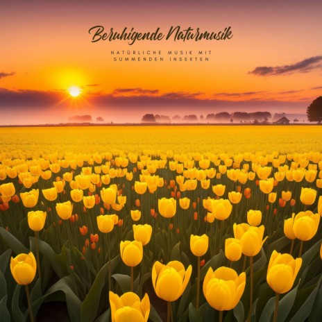 Beruhigende Naturmusik cover art