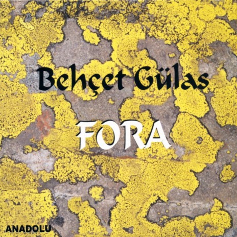 Sevdalıyım cover art