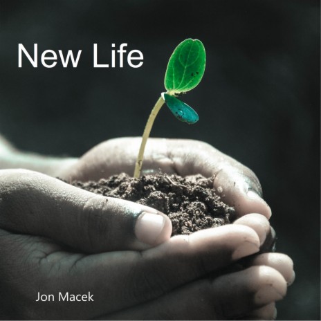 New Life cover art