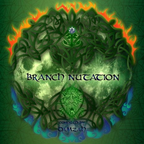 Orgon Bomb (Original Mix) cover art