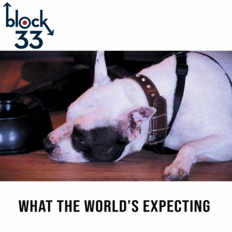 What the World's Expecting cover art
