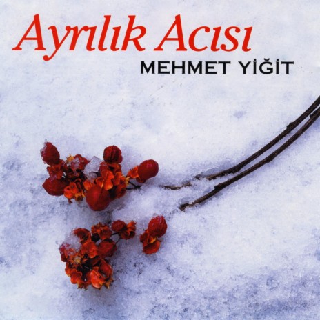Yollarım Diken Olsa cover art