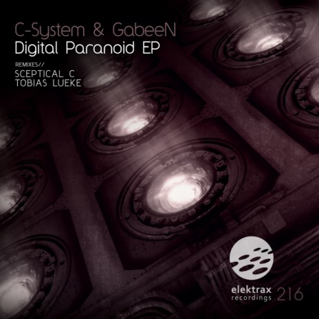 Digital Paranoid (Sceptical C Remix) ft. GabeeN cover art