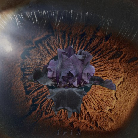 iris cover art