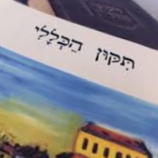 תיקון הכללי חברים cover art