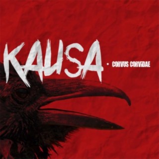 Kausa