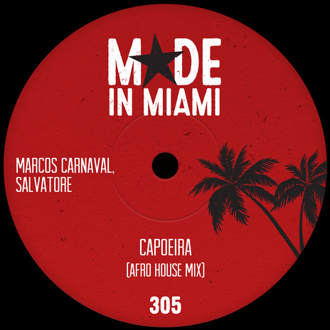 Capoeira (Afro House Mix) ft. Salvatore cover art