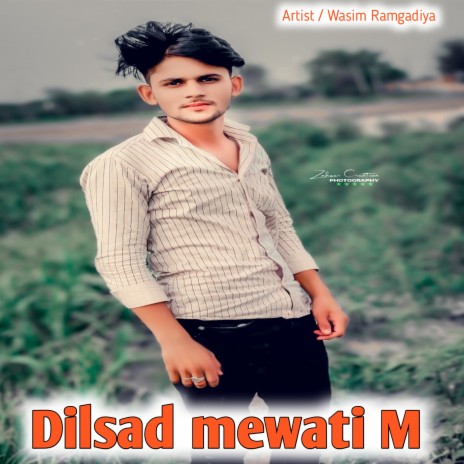 Dilsad Mewati M (Mewati song) cover art