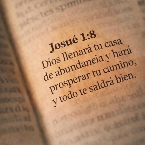 Todo-se-ve-me