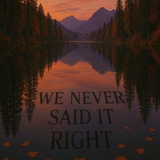 We Never Said It Right