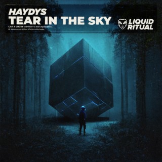 Tear In The Sky (Original Mix) cover art