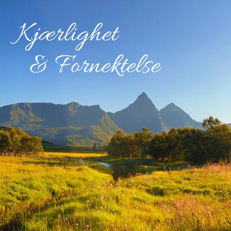 Fineste cover art