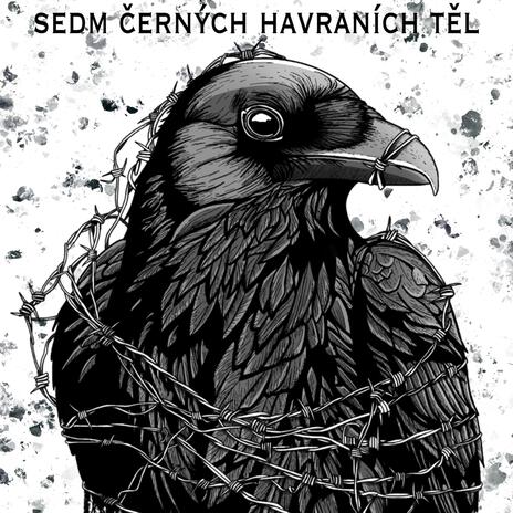 7 černých havraních těl cover art