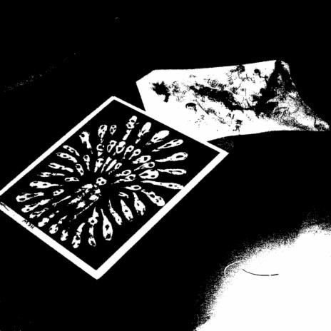 pAwkIncisIoN cover art