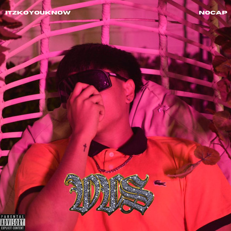 VVS cover art