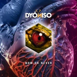 Now Or Never (Extended Mix) cover art