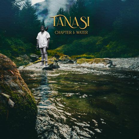 Another Day in Paradise cover art