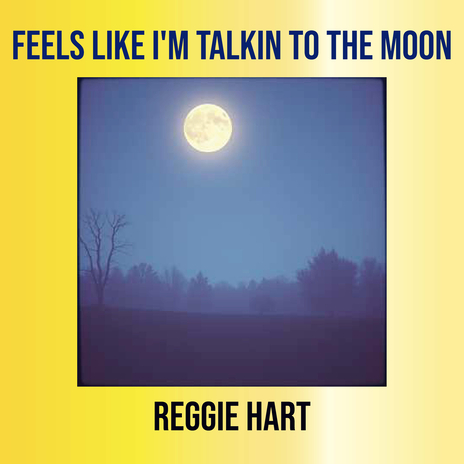 Feels Like I'm Talkin to the Moon cover art