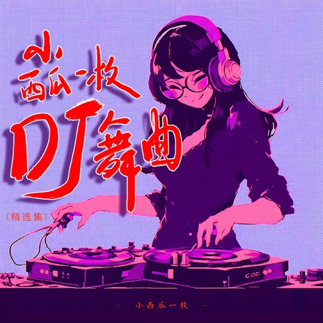 飘摇 (Dj阿能版)